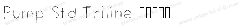 Pump Std Triline字体转换